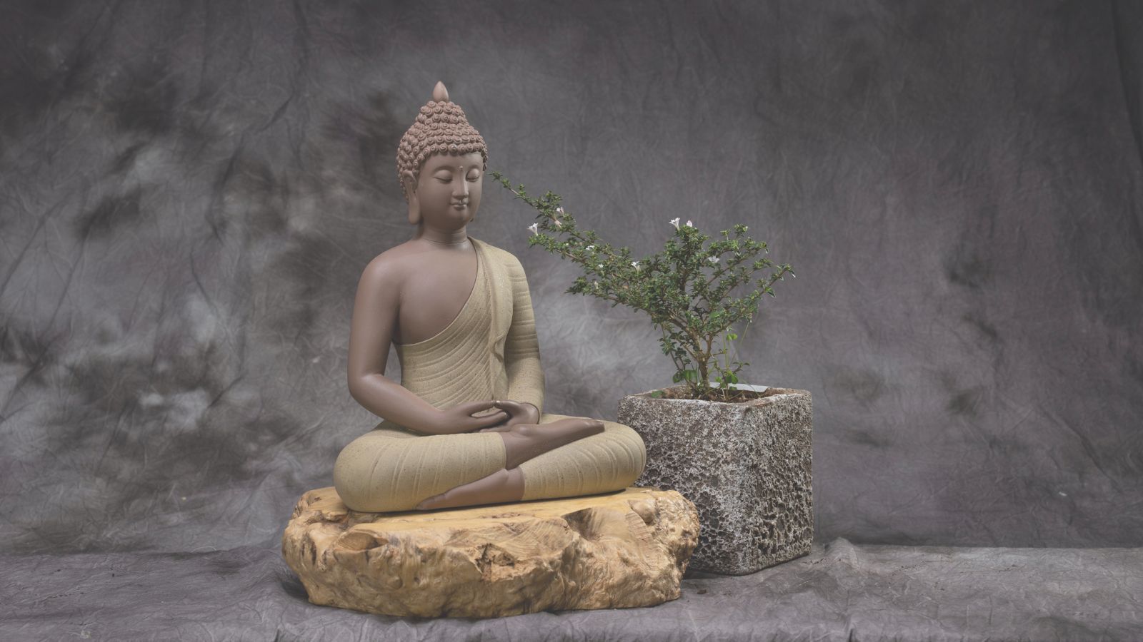  Zen & Home Decor