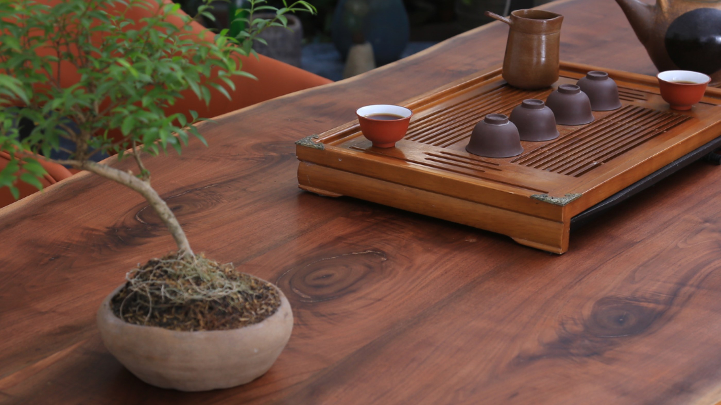Bàn trà gỗ tự nhiên